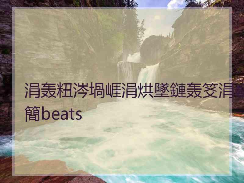 涓轰粈涔堝崕涓烘墜鏈轰笅涓嶄簡beats