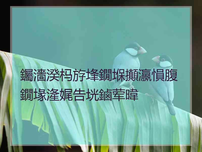 钃濇湀杩斿埄鐗堢攧瀛愪腹鐗堟湰娓告垙鏀荤暐