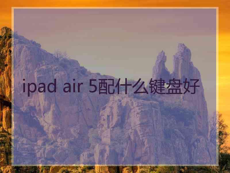 ipad air 5配什么键盘好