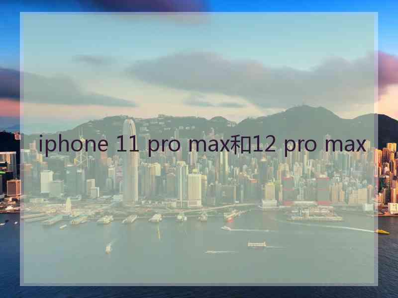 iphone 11 pro max和12 pro max