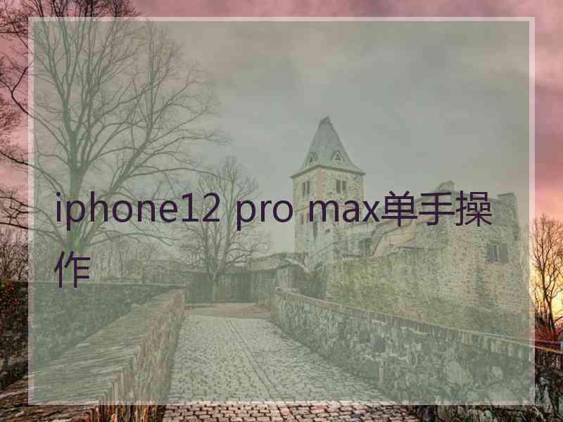 iphone12 pro max单手操作