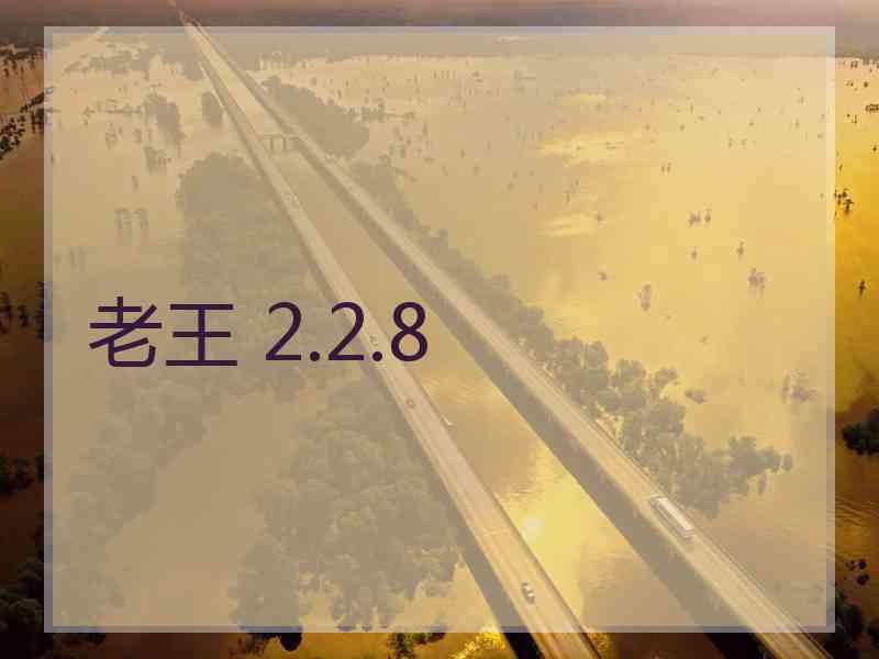 老王 2.2.8