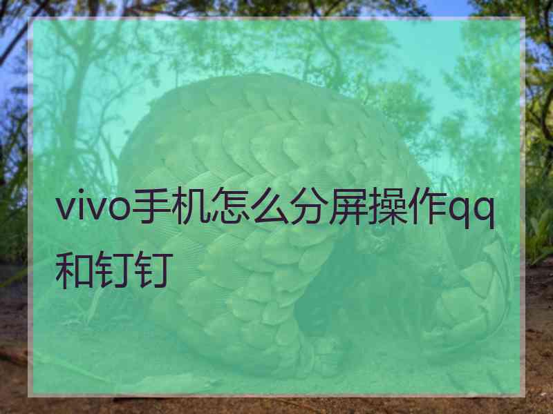 vivo手机怎么分屏操作qq和钉钉