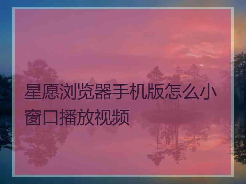 星愿浏览器手机版怎么小窗口播放视频