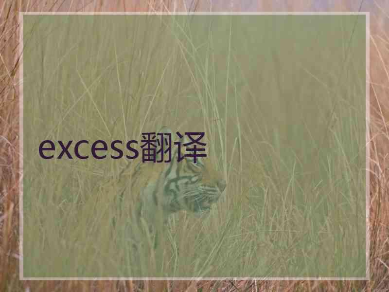 excess翻译