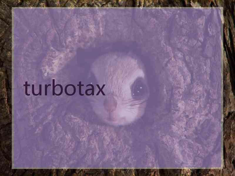 turbotax