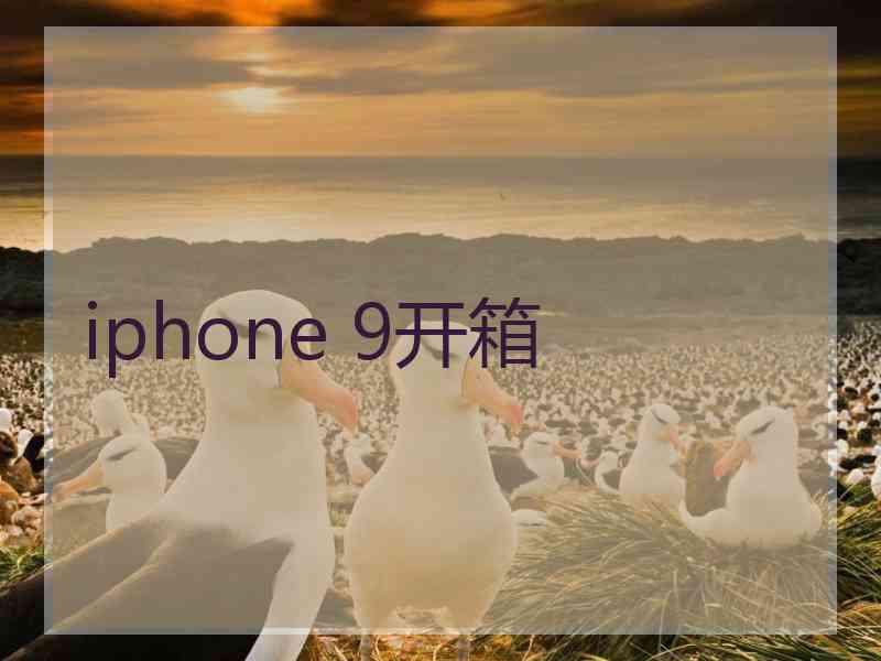 iphone 9开箱