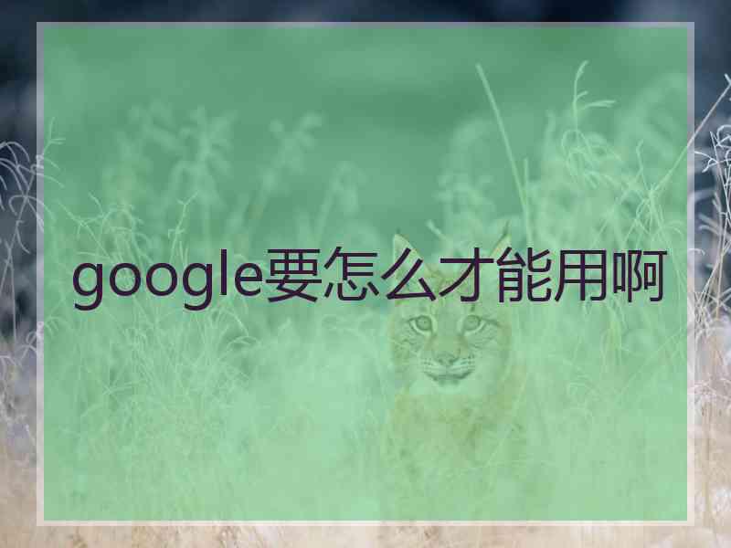 google要怎么才能用啊