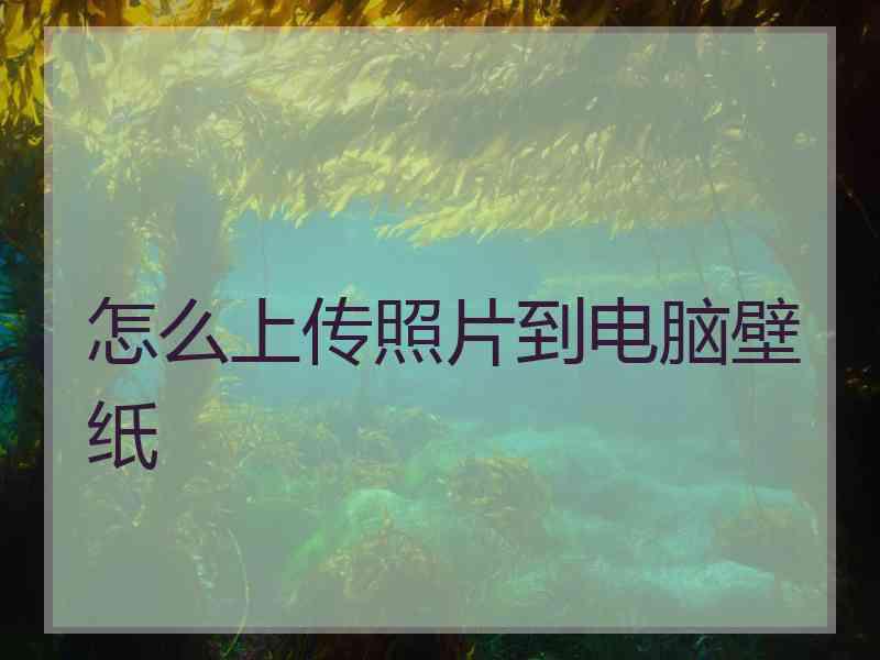 怎么上传照片到电脑壁纸