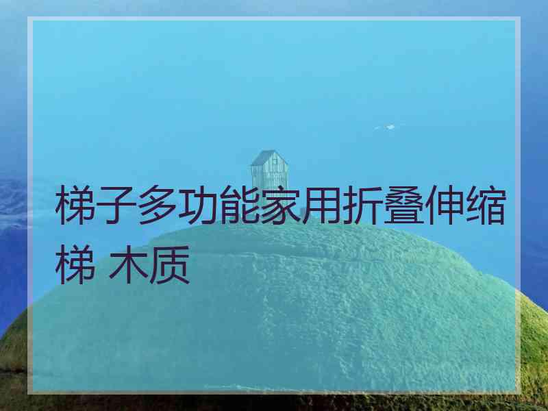 梯子多功能家用折叠伸缩梯 木质