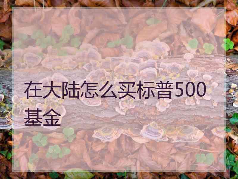 在大陆怎么买标普500基金