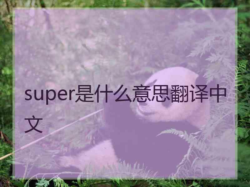 super是什么意思翻译中文