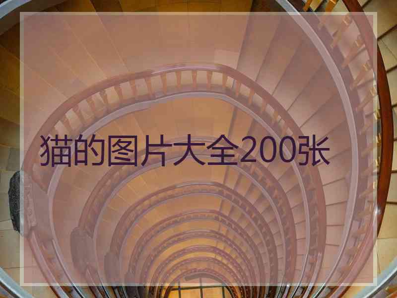 猫的图片大全200张