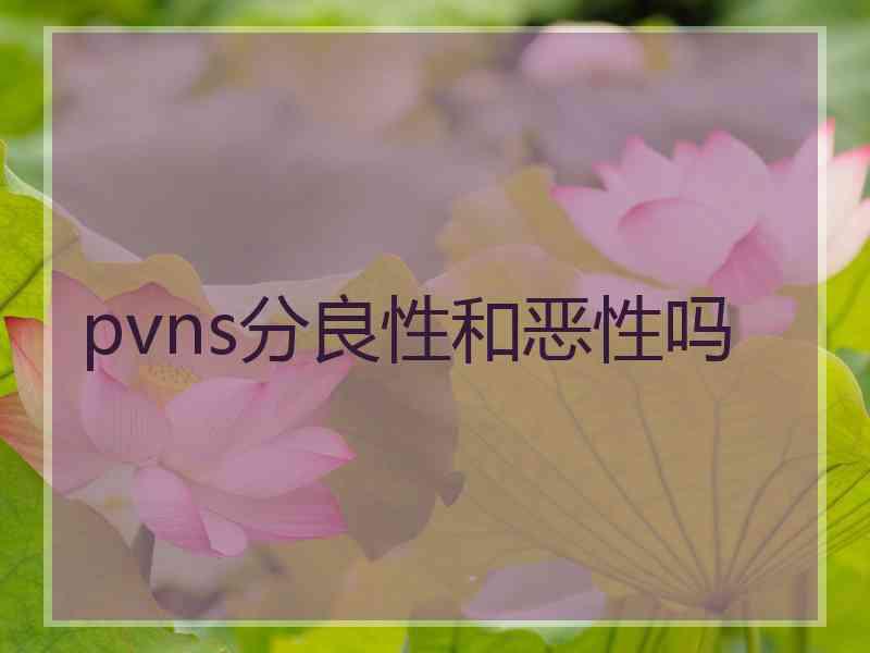 pvns分良性和恶性吗