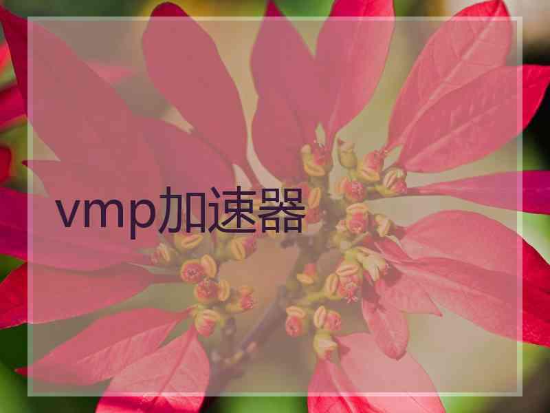 vmp加速器