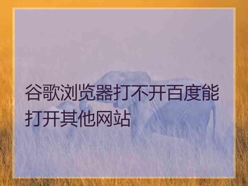 谷歌浏览器打不开百度能打开其他网站