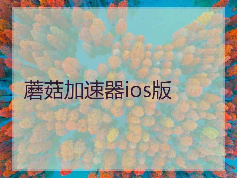 蘑菇加速器ios版