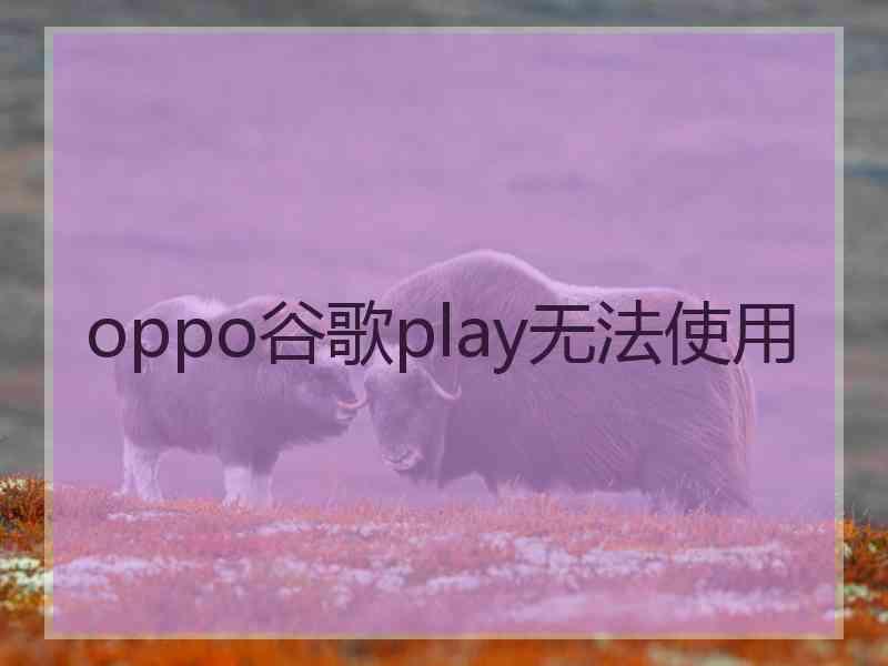 oppo谷歌play无法使用