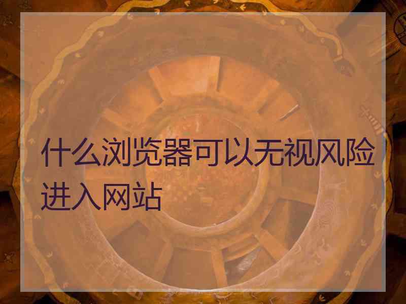 什么浏览器可以无视风险进入网站