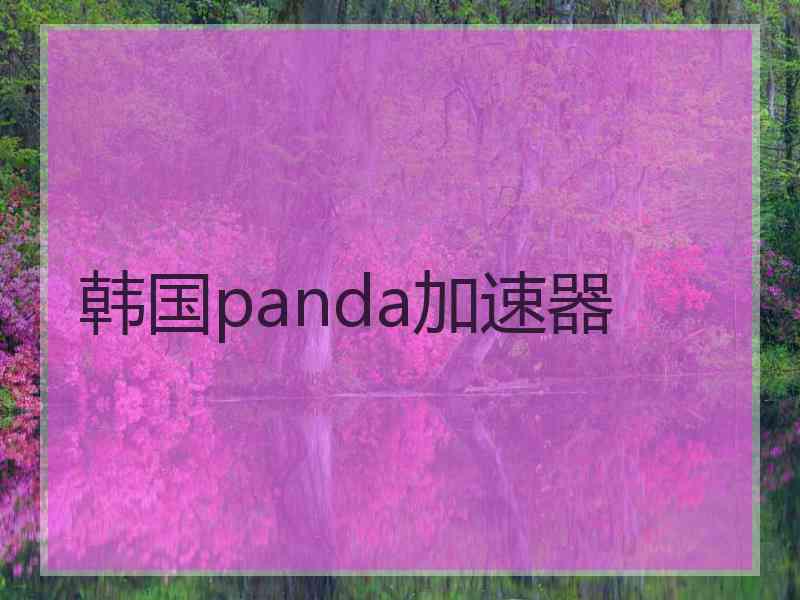 韩国panda加速器