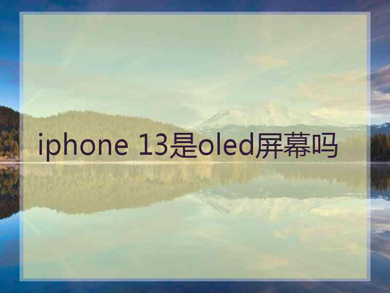 iphone 13是oled屏幕吗