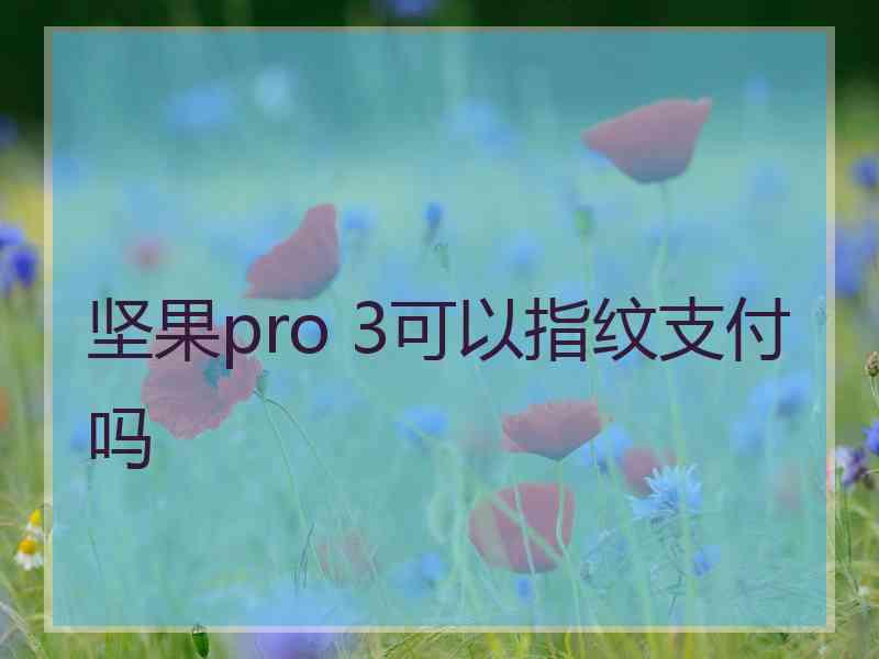 坚果pro 3可以指纹支付吗