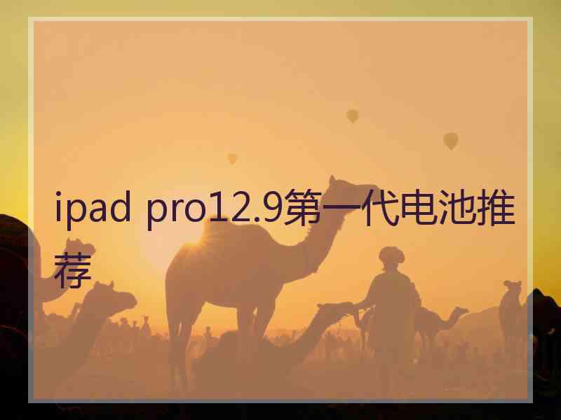 ipad pro12.9第一代电池推荐