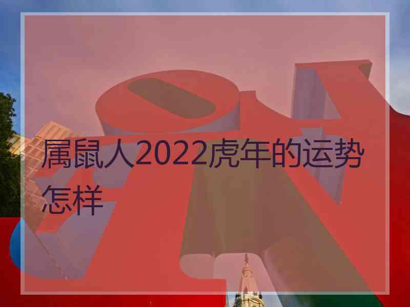 属鼠人2022虎年的运势怎样