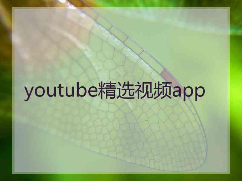 youtube精选视频app