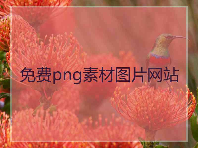 免费png素材图片网站