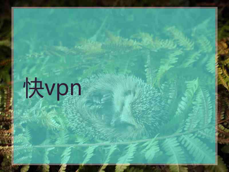 快vpn