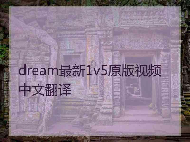 dream最新1v5原版视频中文翻译