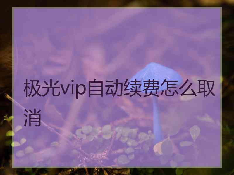 极光vip自动续费怎么取消