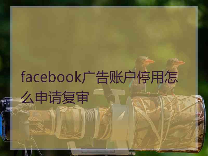 facebook广告账户停用怎么申请复审