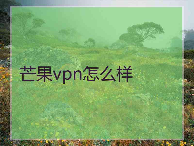 芒果vpn怎么样