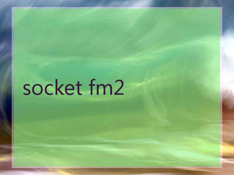 socket fm2