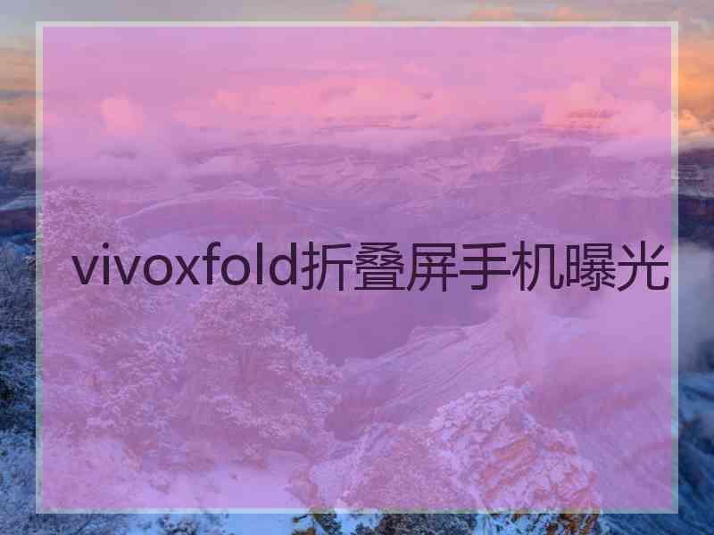 vivoxfold折叠屏手机曝光