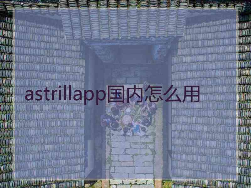 astrillapp国内怎么用