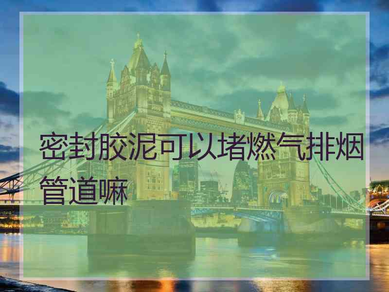 密封胶泥可以堵燃气排烟管道嘛