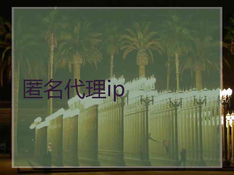 匿名代理ip