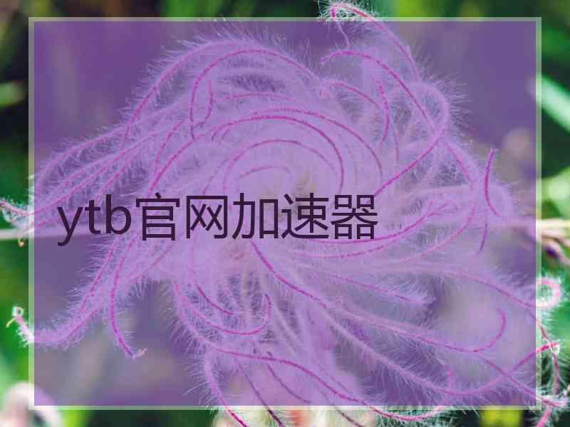 ytb官网加速器