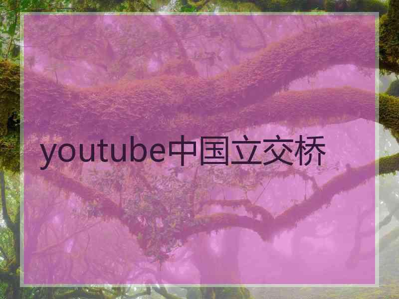 youtube中国立交桥