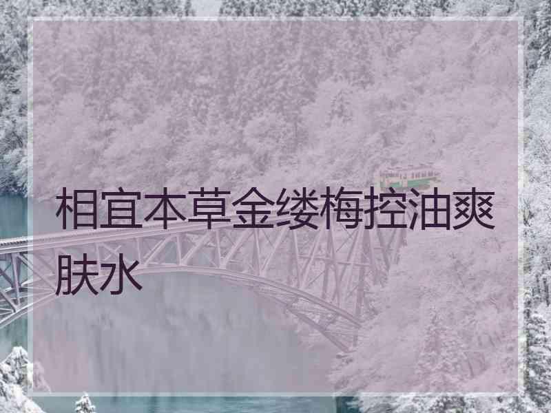 相宜本草金缕梅控油爽肤水