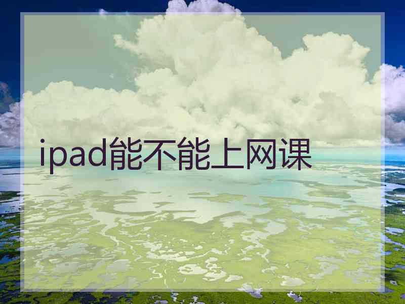 ipad能不能上网课