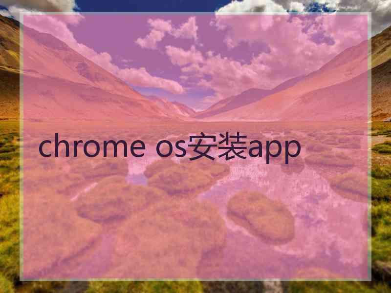 chrome os安装app