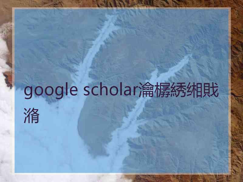 google scholar瀹樼綉缃戝潃