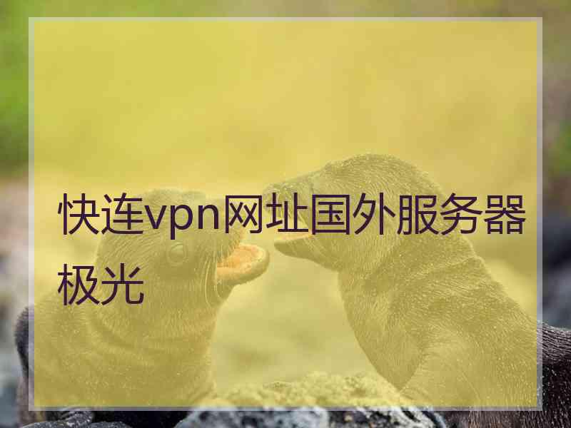 快连vpn网址国外服务器极光