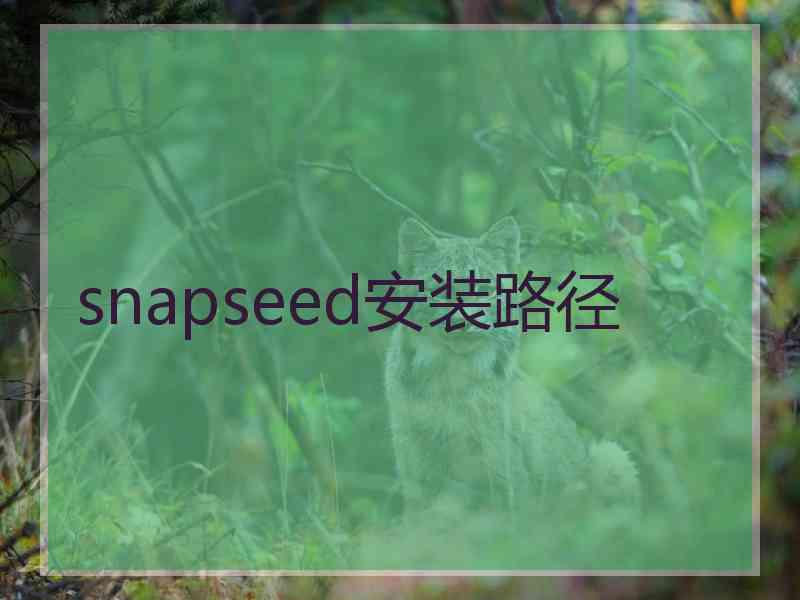 snapseed安装路径