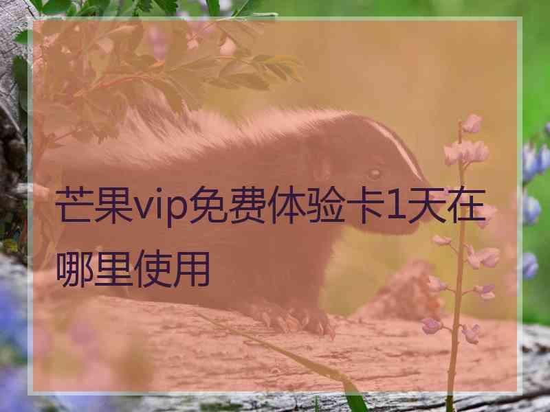 芒果vip免费体验卡1天在哪里使用