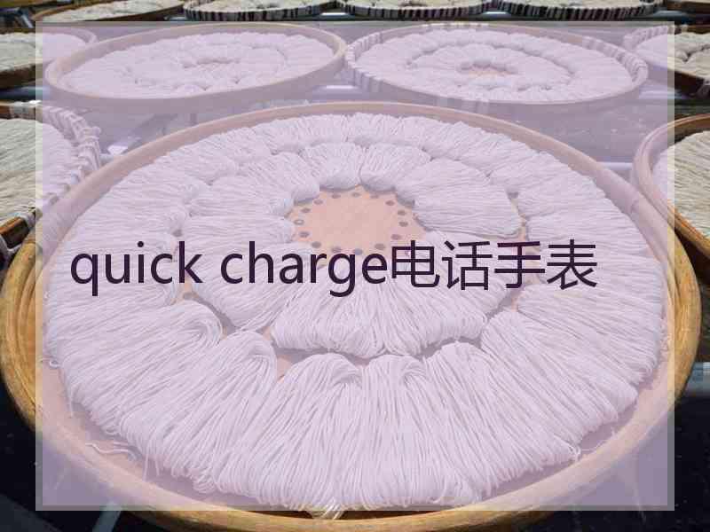 quick charge电话手表